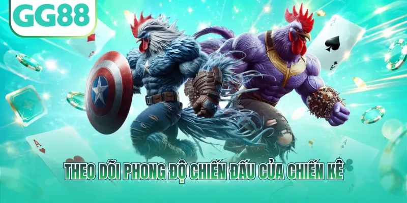 Theo dõi phong độ chiến đấu của chiến kê
